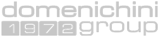 domenichinigroup_logo_i